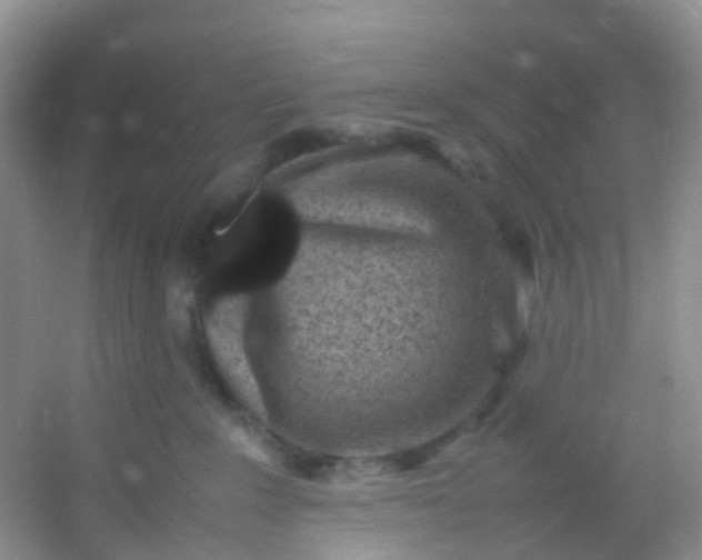 X0000054470235200508122012