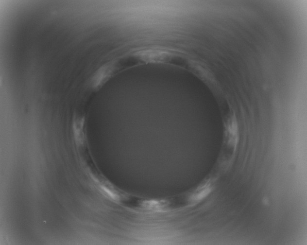 X0000054470239200508122011