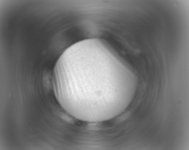 X0000054470240200508122011