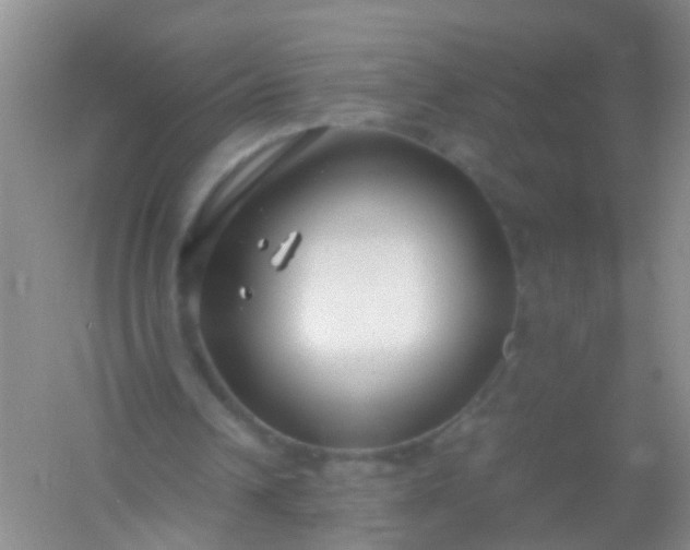 X0000054470242200508122011