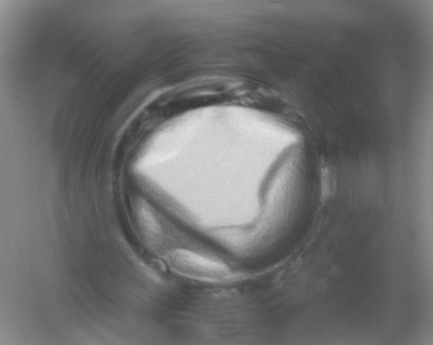 X0000054470243200508122011