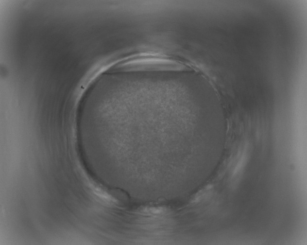 X0000054470247200508122011