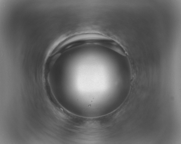 X0000054470248200508122011