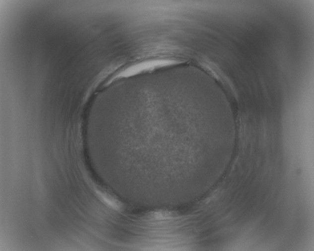 X0000054470250200508122011