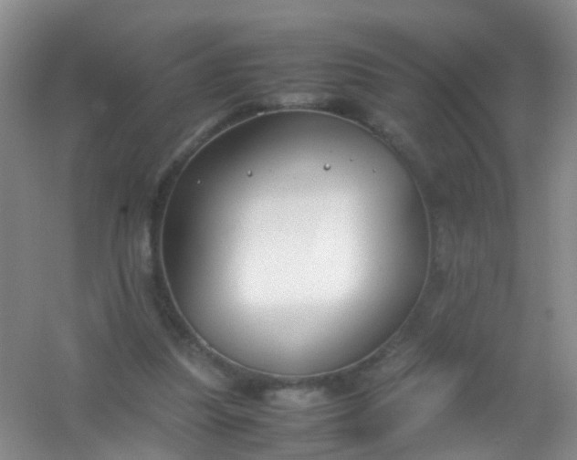 X0000054470251200508122011