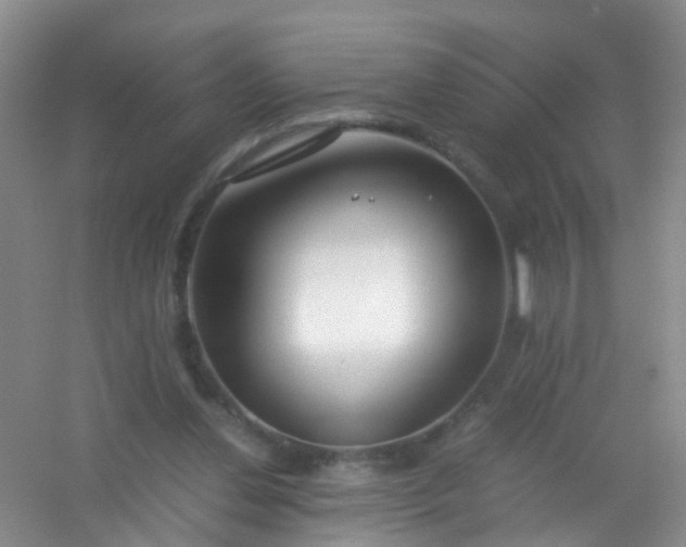 X0000054470252200508122011