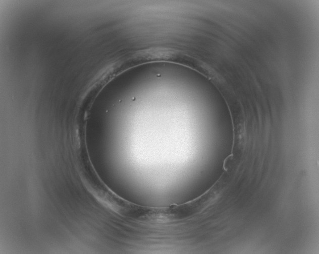 X0000054470254200508122011