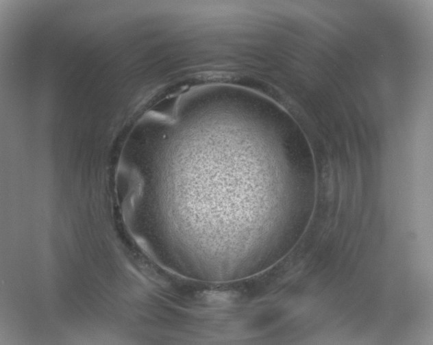 X0000054470255200508122011