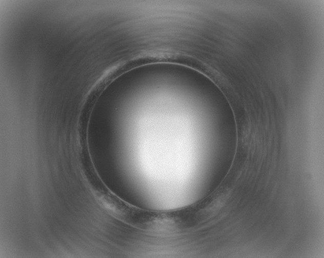 X0000054470256200508122011