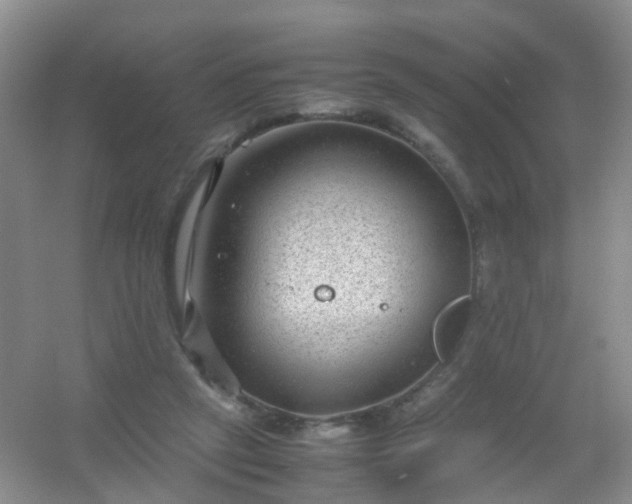 X0000054470257200508122011