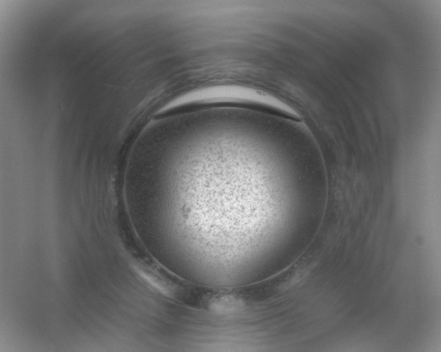 X0000054470258200508122011