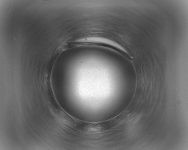 X0000054470263200508122011