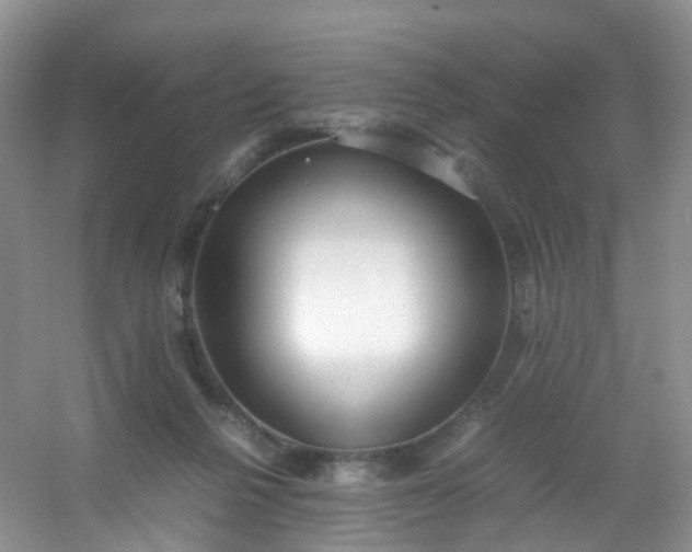 X0000054470264200508122011