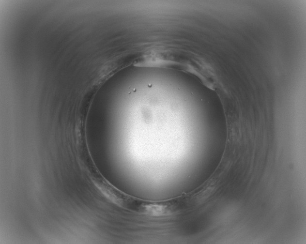 X0000054470265200508122011