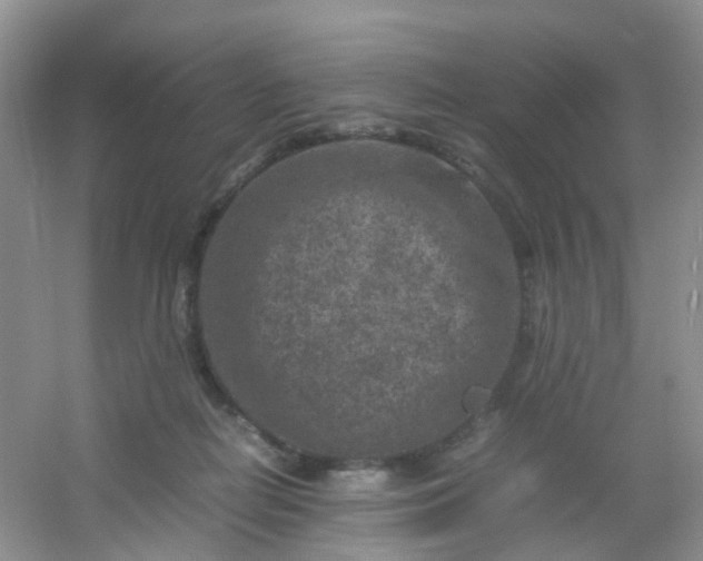 X0000054470266200508122011