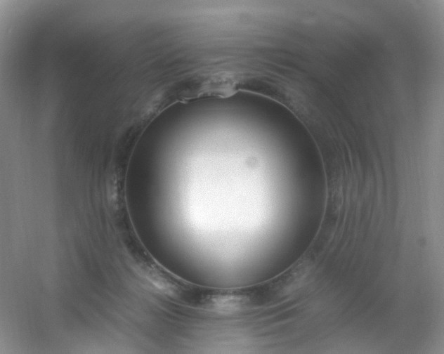 X0000054470268200508122011