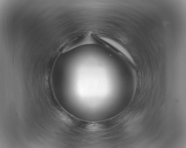 X0000054470269200508122011