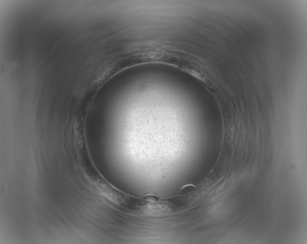 X0000054470270200508122011