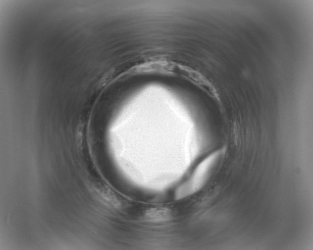 X0000054470271200508122011