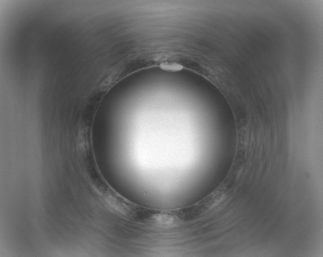 X0000054470272200508122011