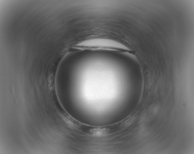 X0000054470273200508122011