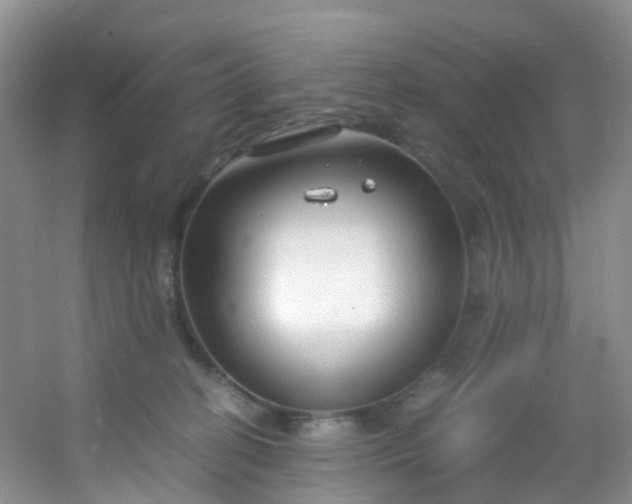 X0000054470274200508122011