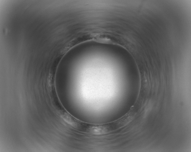 X0000054470275200508122011