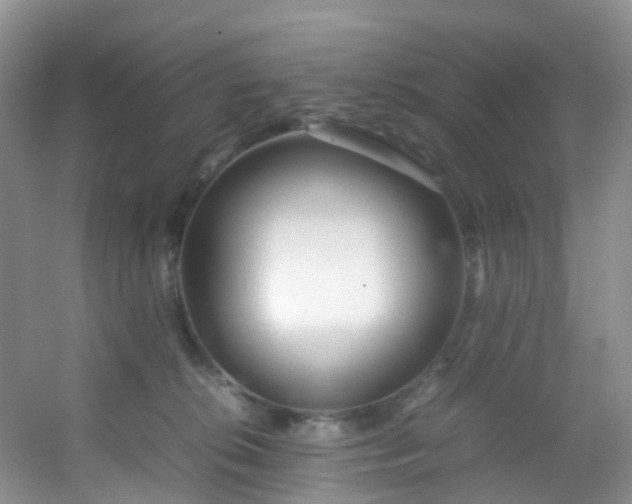 X0000054470276200508122011