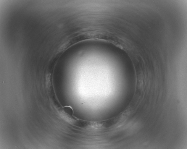 X0000054470278200508122011