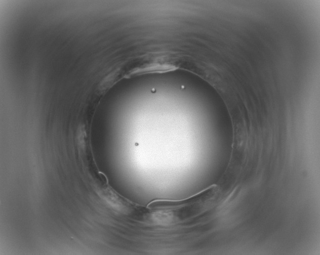 X0000054470279200508122011