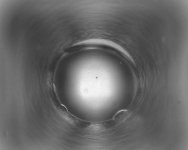 X0000054470280200508122011