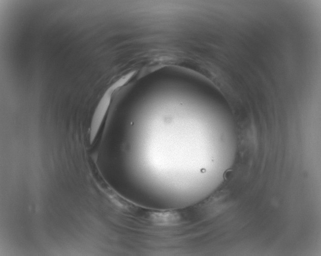 X0000054470281200508122011