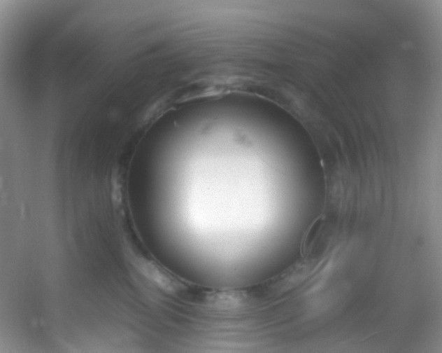 X0000054470282200508122011