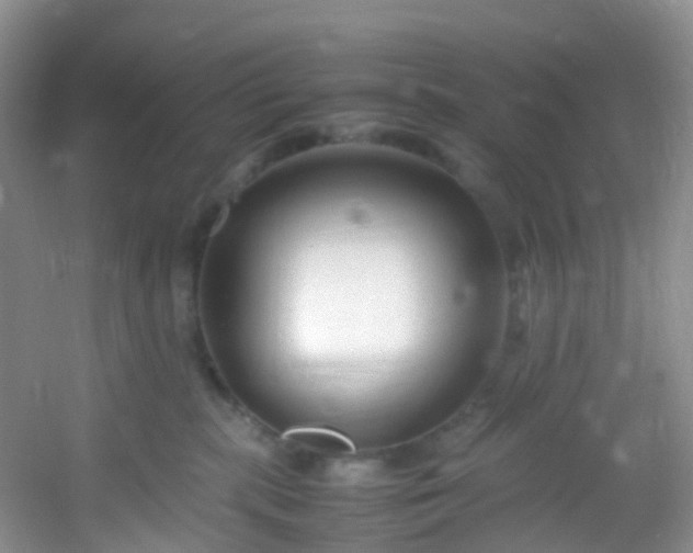 X0000054470283200508122011