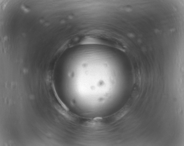 X0000054470284200508122011