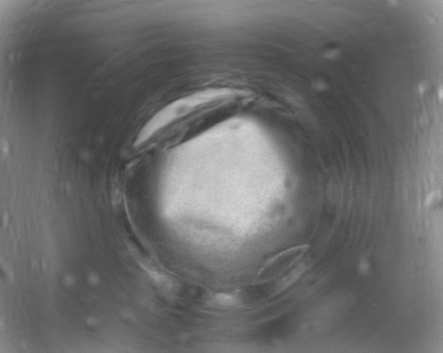 X0000054470285200508122011