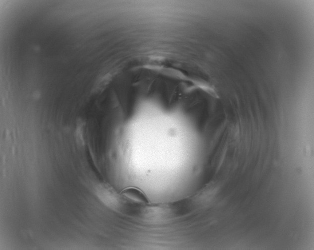 X0000054470286200508122011