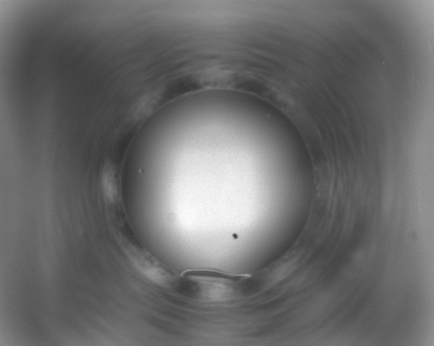 X0000054470287200508122011