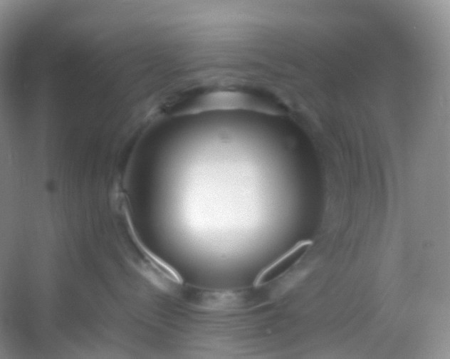 X0000054470288200508122011