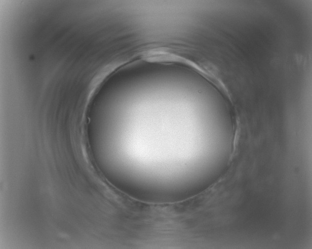 X0000054470289200508122011