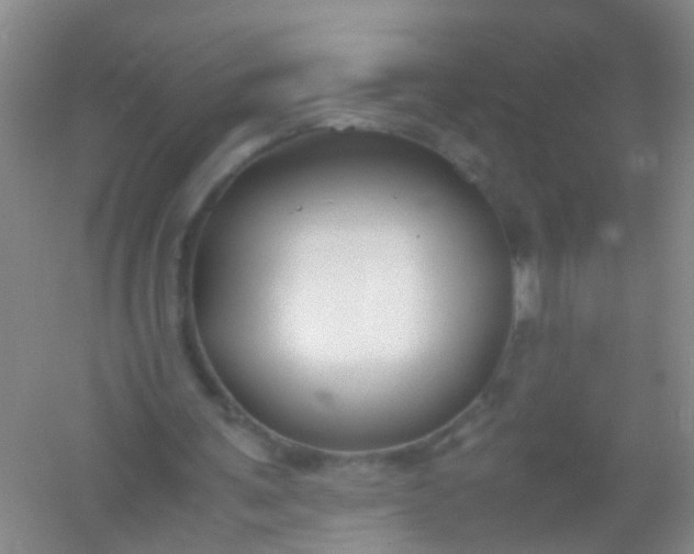 X0000054470291200508122011