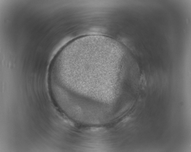 X0000054470292200508122011