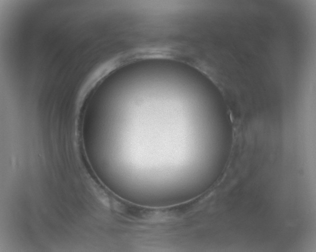 X0000054470293200508122011