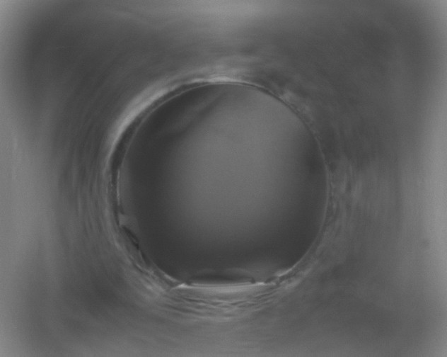 X0000054470295200508122011