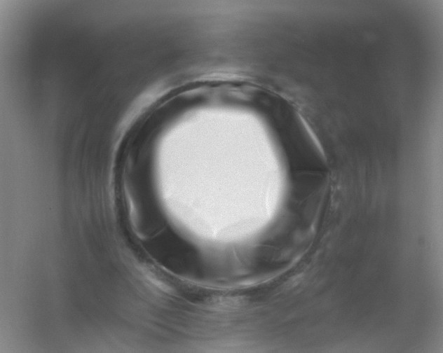 X0000054470296200508122010