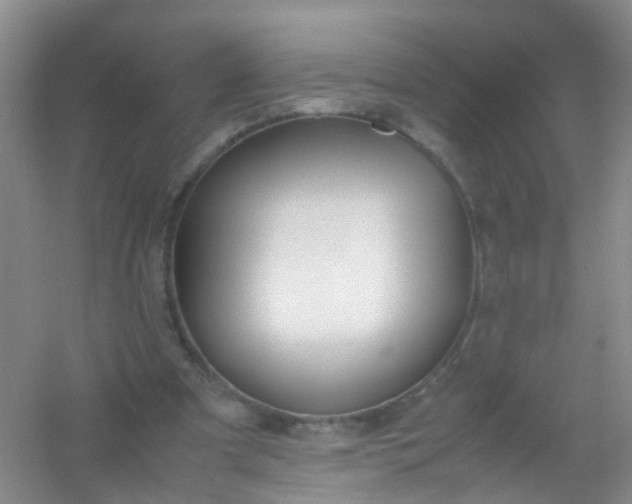 X0000054470297200508122010