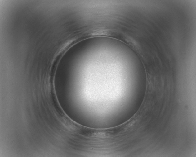 X0000054470298200508122010