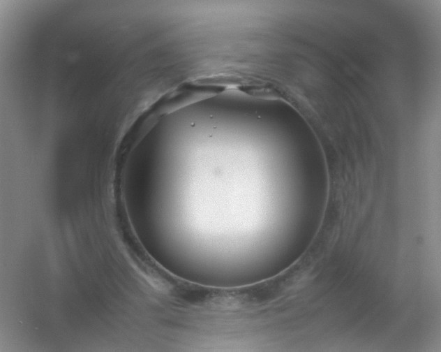 X0000054470299200508122010