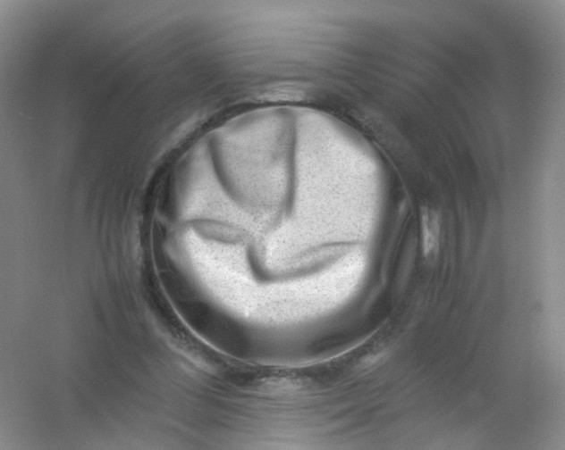 X0000054470300200508122010