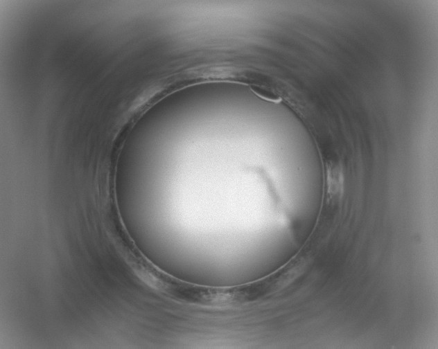 X0000054470301200508122010